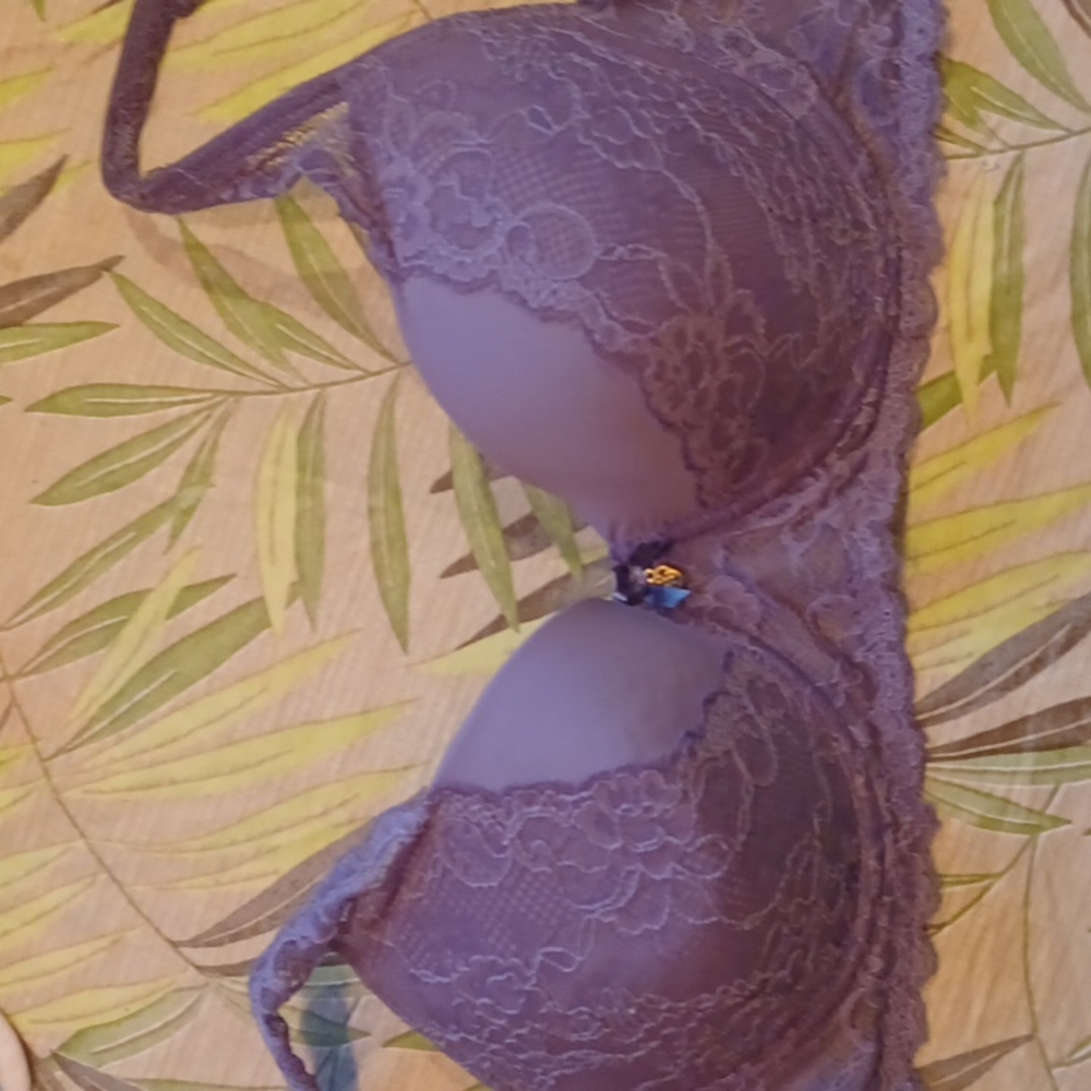 Daisy Fuentes Grey Bra 40D